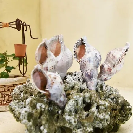 Near The Old Venetian Harbor Апартаменты *